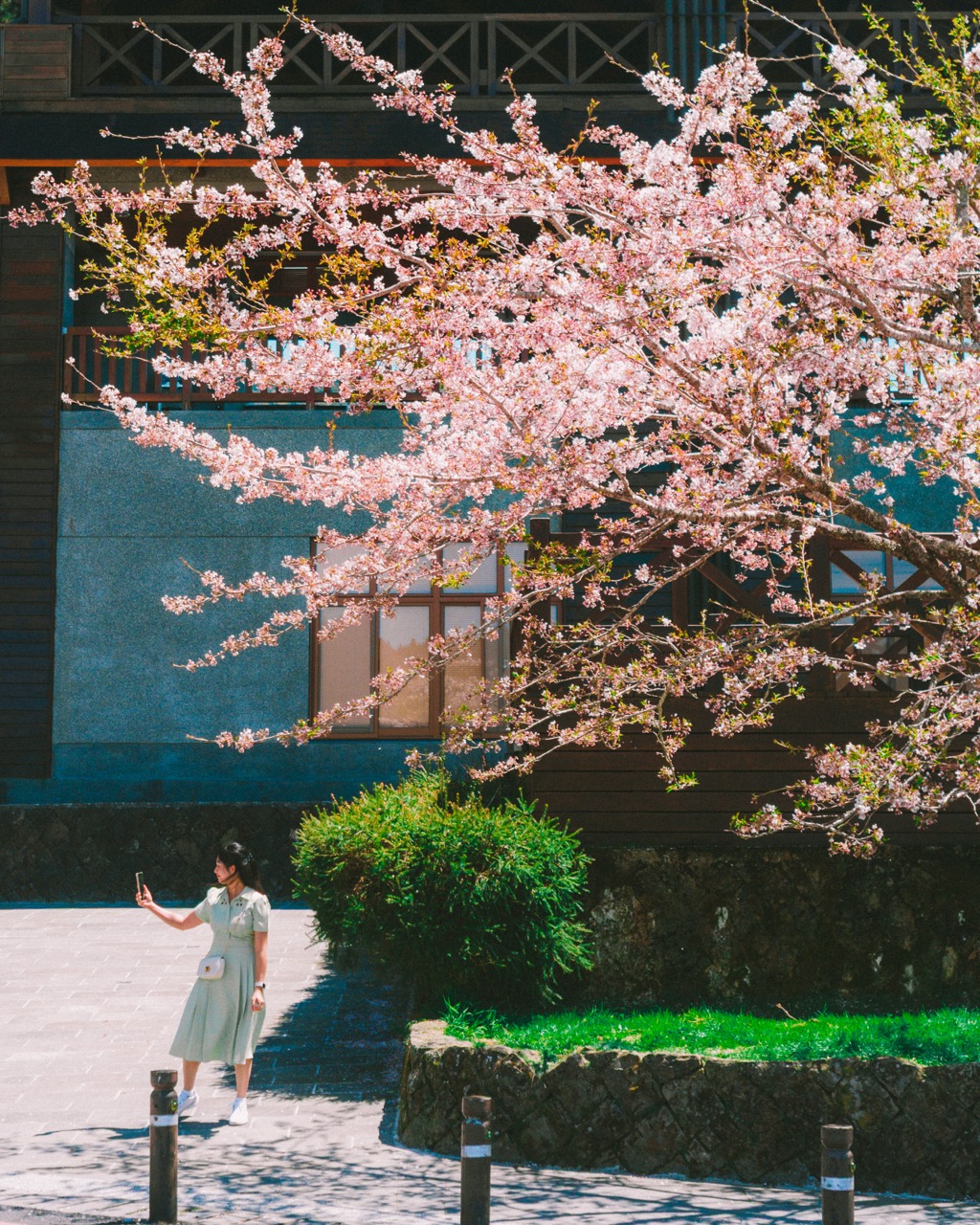 Spring in Taiwan